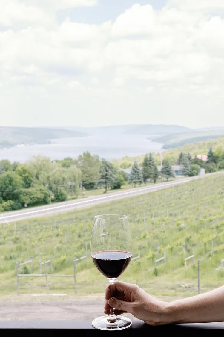 Keuka-View-Living-Roots