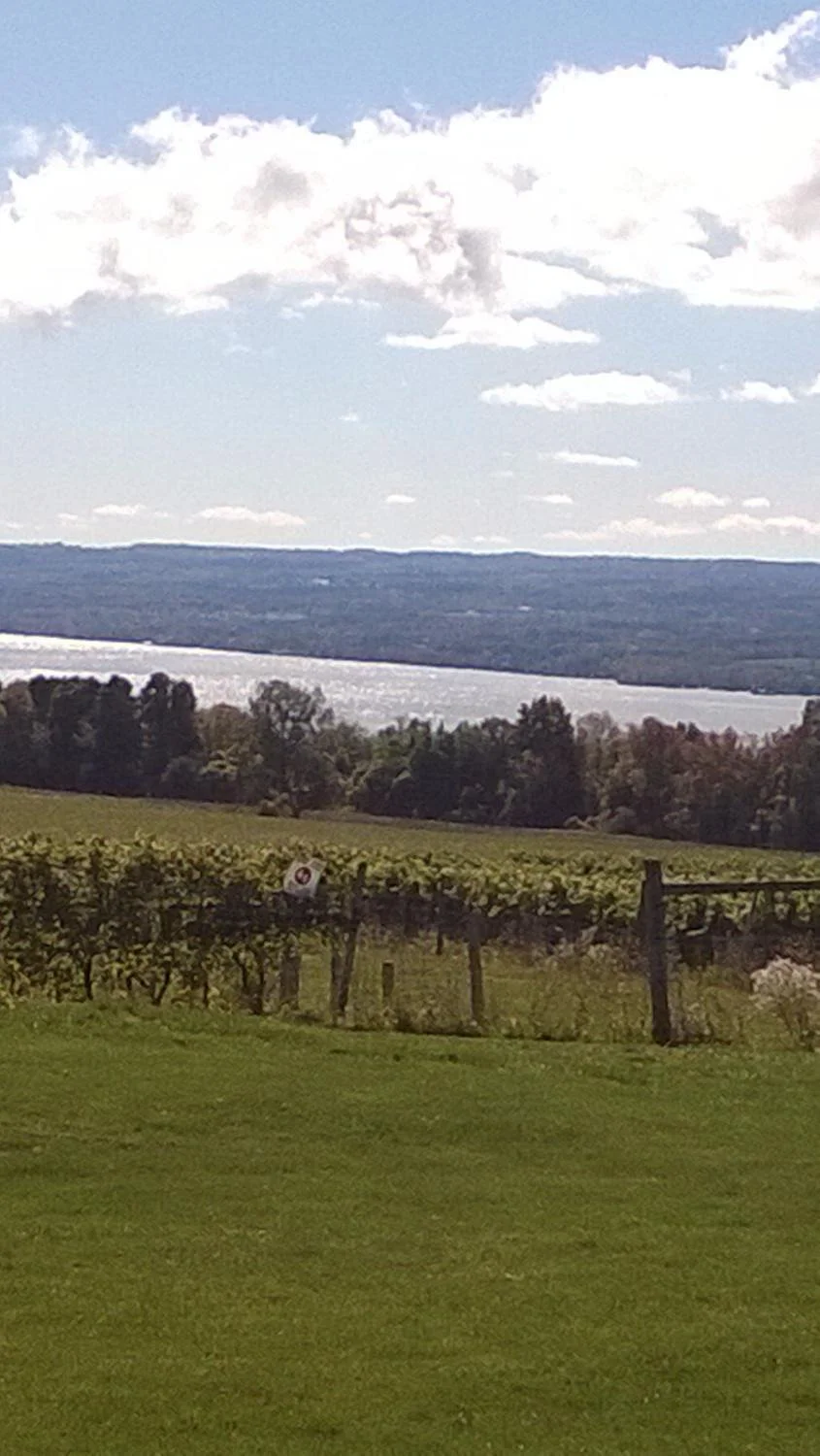 long-point-winery-vineyard-and-lake-view