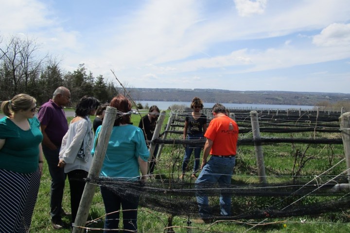 Flatt Rock Vineyard Tour with owner Dave