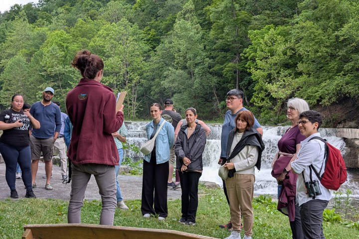 a group of people standing in a park
