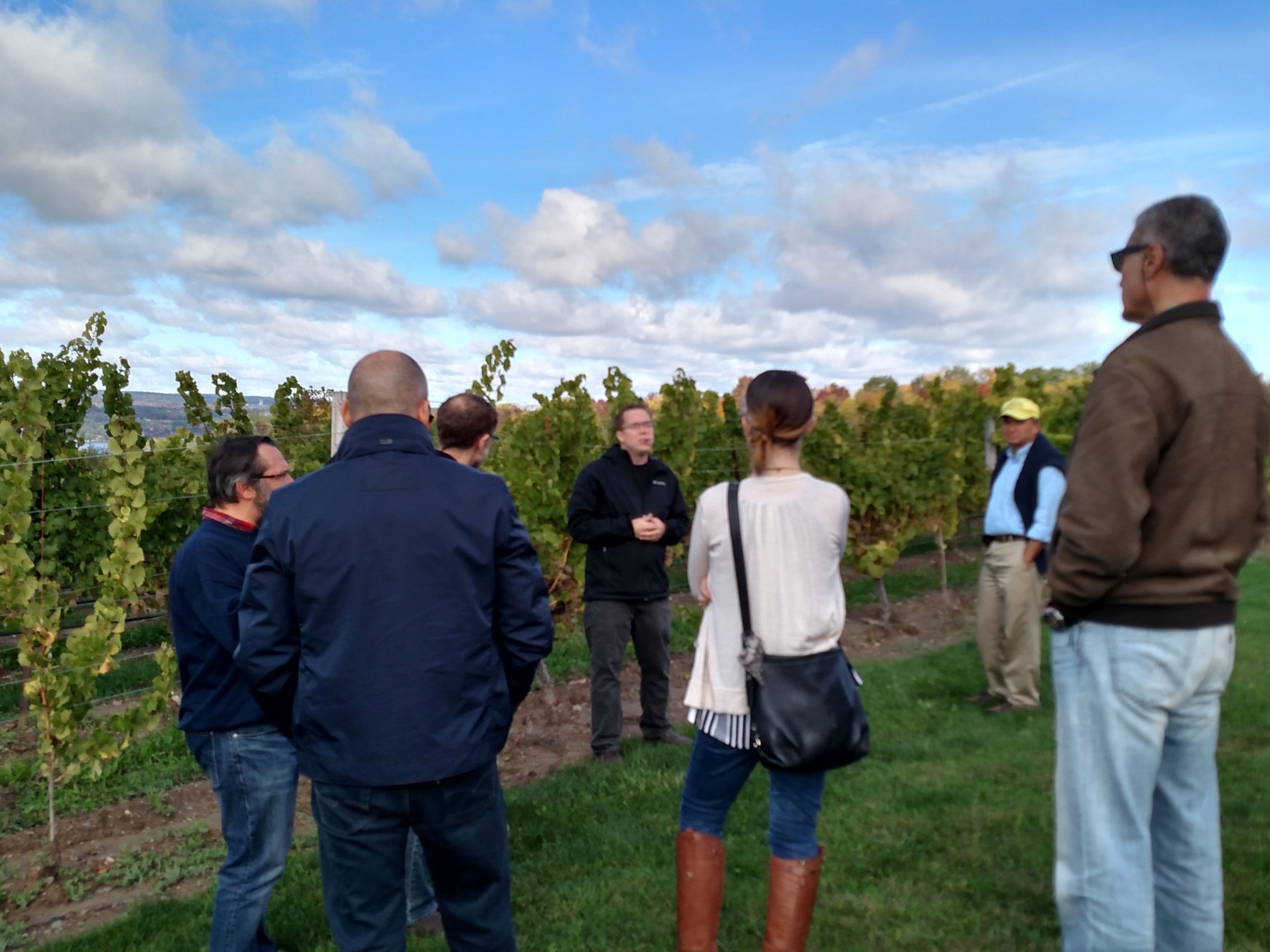 standing stone vineyard tour