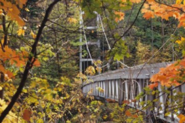 cornell suspension bridge