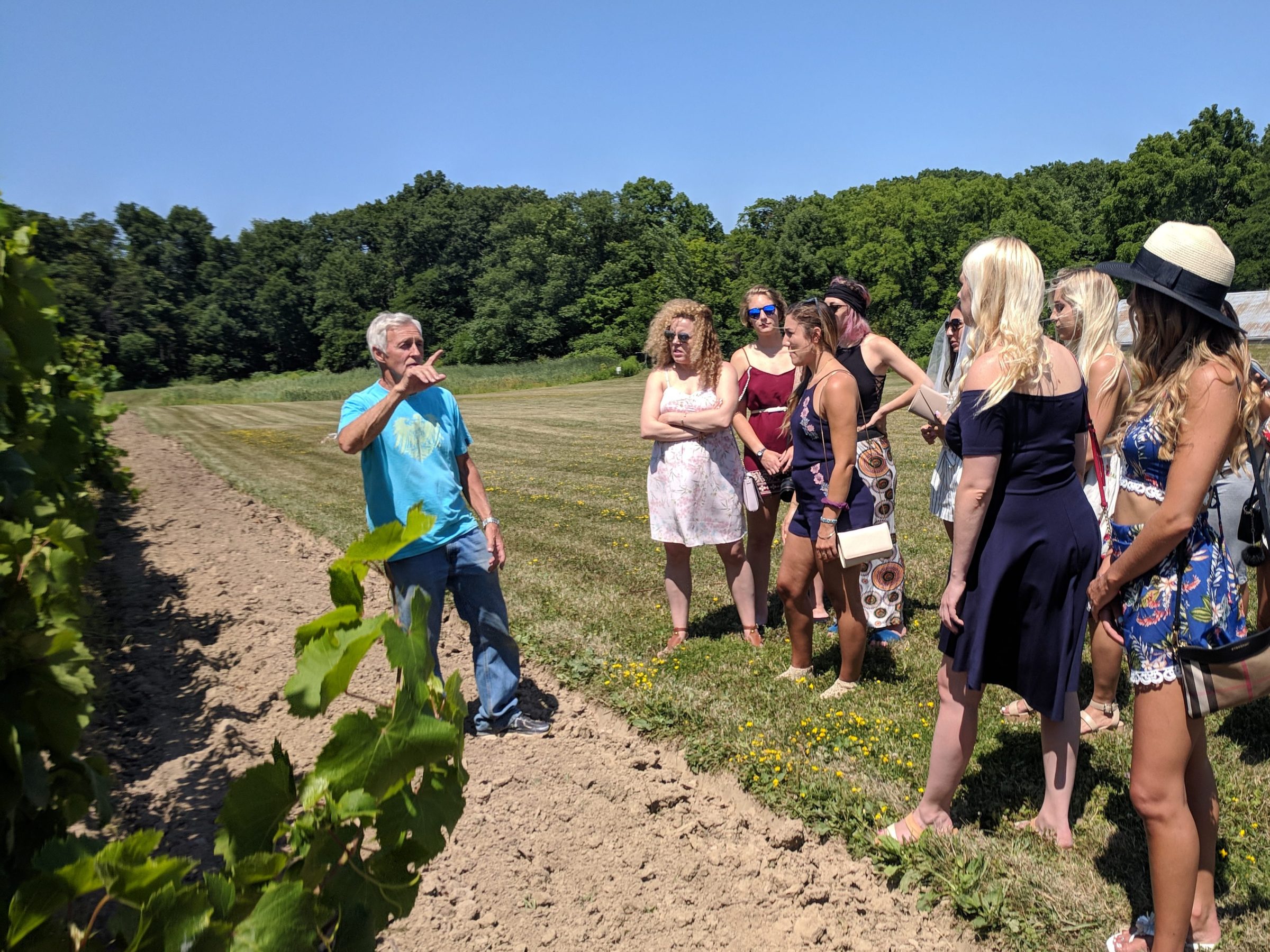 Vineyard Tour with Winemaker and owner at Cayuga Ridge Winery