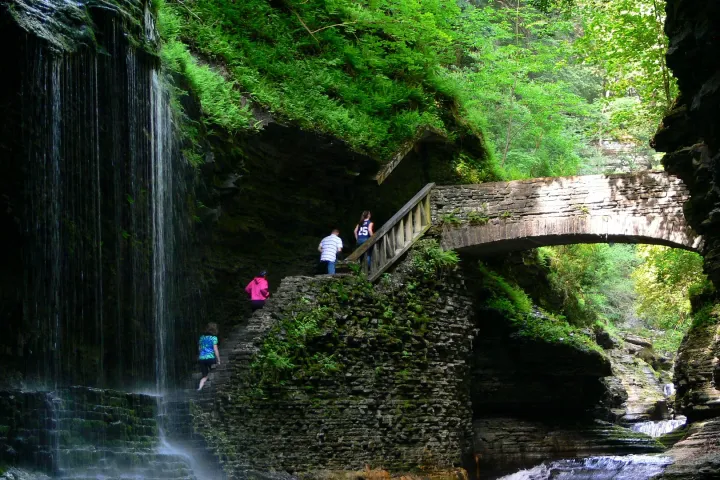 watkins glen ny