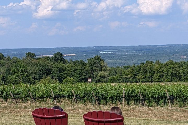 a chair sitting in a field