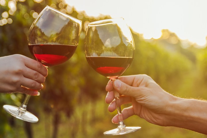 a hand holding a glass of wine
