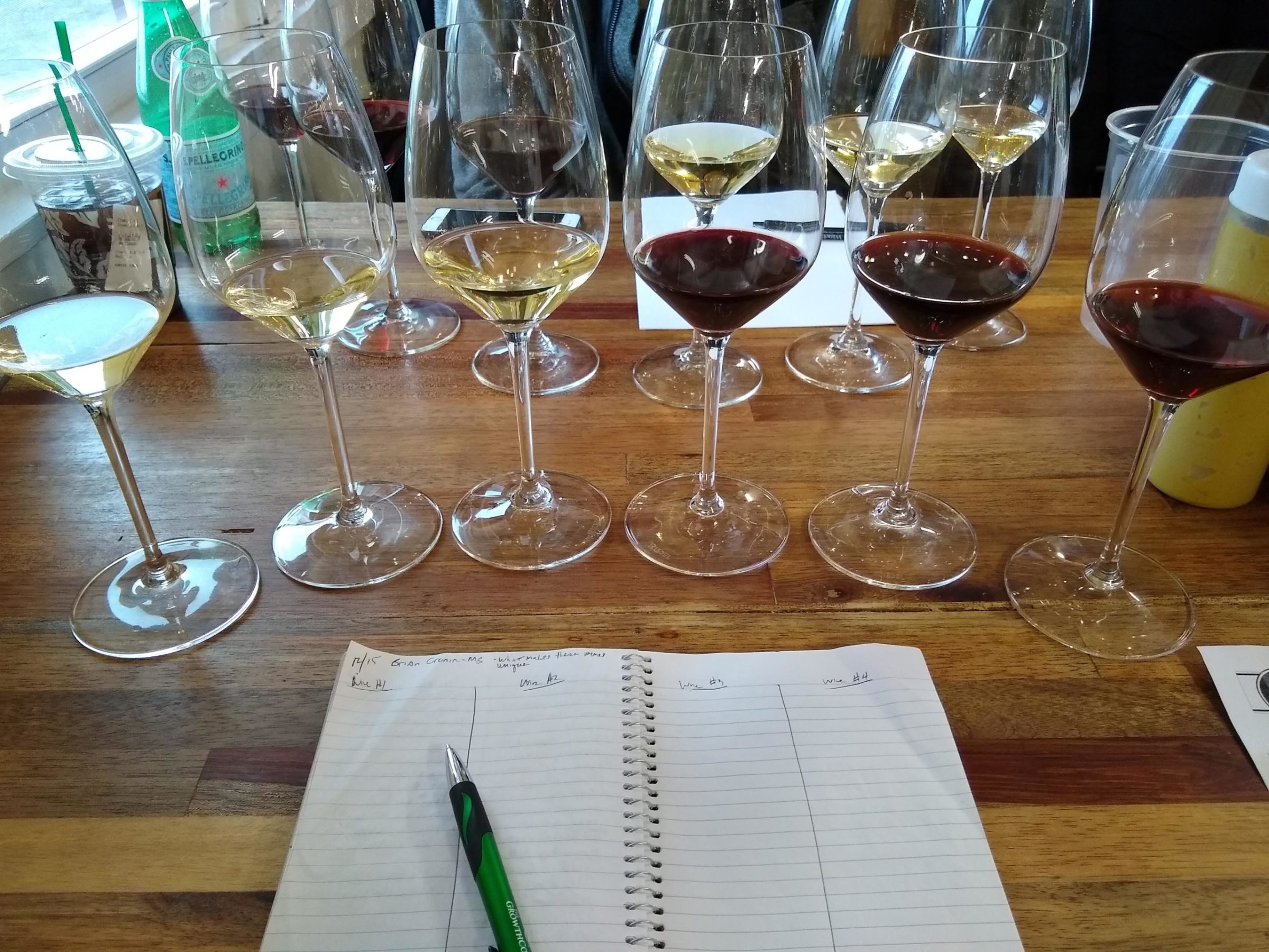 a group of people sitting at a table with wine glasses