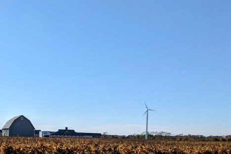 a bridge over a body of water
