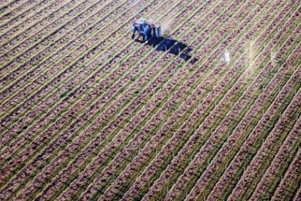 a close up of a beach