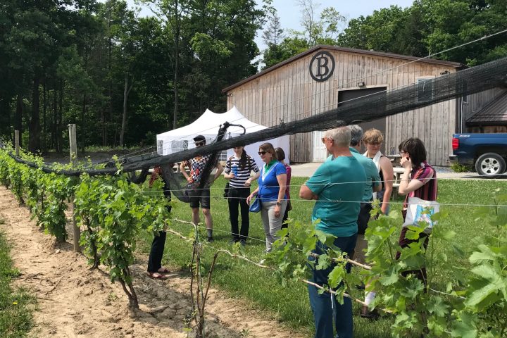 a group of people standing in a garden