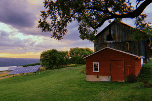a house on top of a lush green field