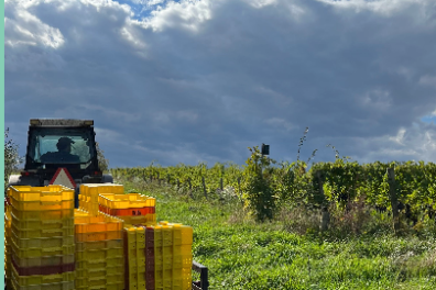 a bus that is sitting on top of a grass covered field