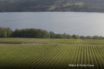 Seneca Lake from H & H Vineyards