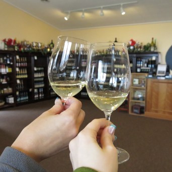 a hand holding a glass of wine