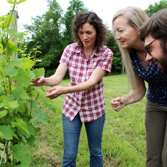 a group of people standing in the grass