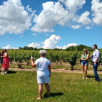 a group of people standing on top of a grass covered field